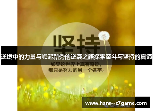 逆境中的力量与崛起新秀的逆袭之路探索奋斗与坚持的真谛