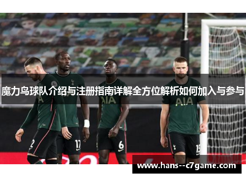 魔力鸟球队介绍与注册指南详解全方位解析如何加入与参与